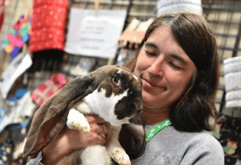 Salon des animaux