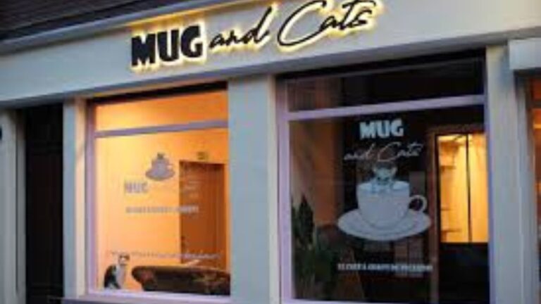 Façade du bar à chats Mug and Cats à Amiens, montrant une vitrine éclairée avec le logo du bar