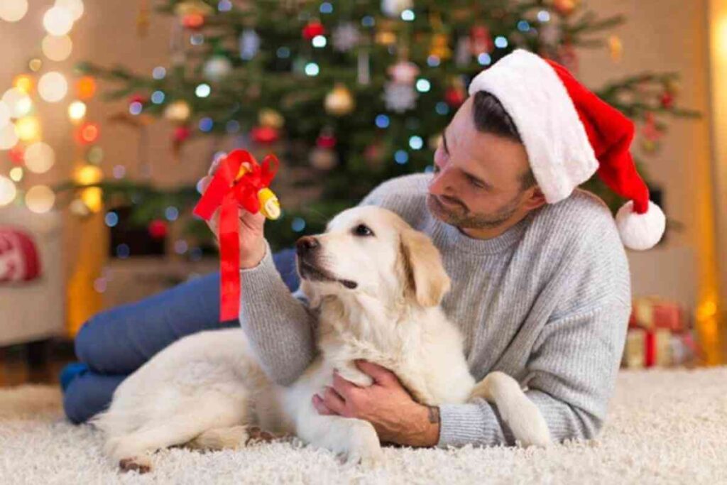 Une famille joyeuse avec un chiot sous un sapin de Noël, illustrant l’adoption responsable d’un animal pendant les fêtes de fin d’année.