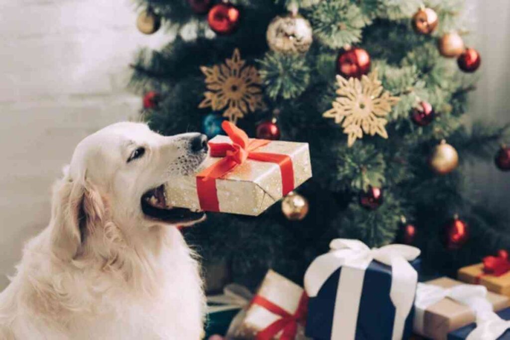 Chien heureux près d'un sapin de Noël avec des cadeaux soigneusement emballés, ambiance festive de Noël.