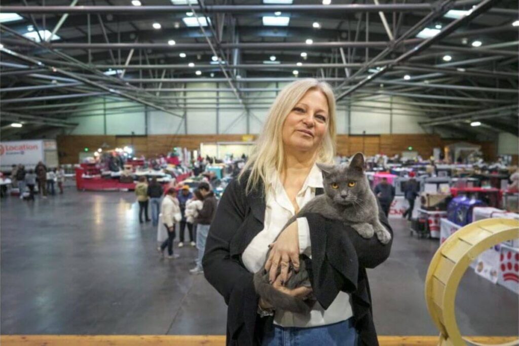 Femme tenant un chaton dans ses bras dans une ambiance festive avec un marché de Noël en arrière-plan.