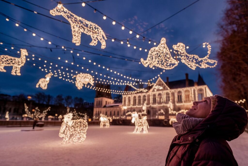 ue nocturne d’une décoration lumineuse festive avec des animaux domestiques en extérieur, parfaite pour la Fête des Lumières à Lyon