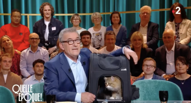 christophe dechavanne et son chat. polémique